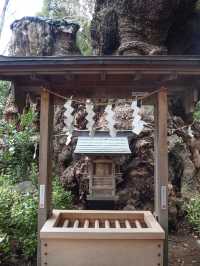 【静岡】熱海