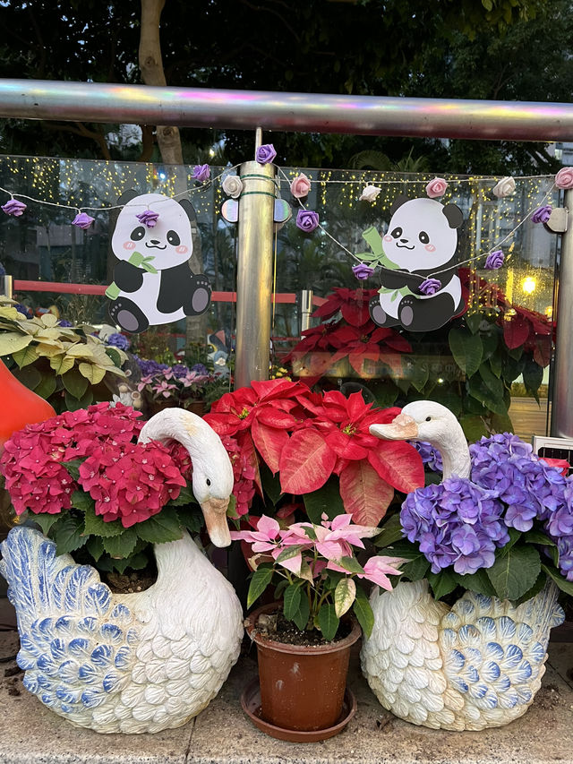 南區節慶熊貓燈飾@香港仔海濱公園