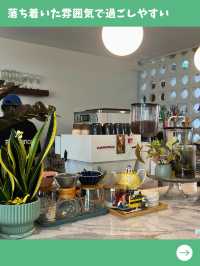 【マレーシア女一人旅】猫店員とゆったり過ごせる癒しの空間！植物溢れるカフェ！