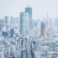【東京】圧巻の絶景！SHIBUYA SKYで東京を一望 🌆✨