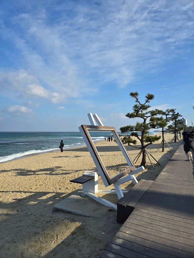 겨울바다 매력가득한 강릉여행필수코스💜