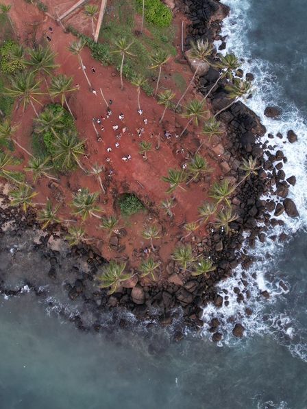 スリランカ🇱🇰息を呑む夕焼けcoconut tree hill