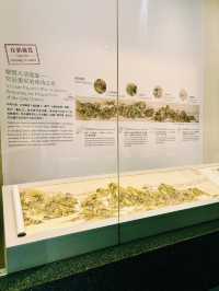 【尖沙咀】香港藝術館：古文青生涯規劃展覽