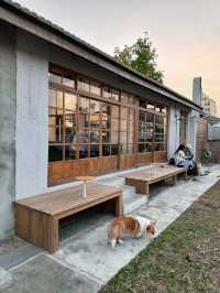 高雄｜黃埔新村 寵物友善咖啡廳🐾