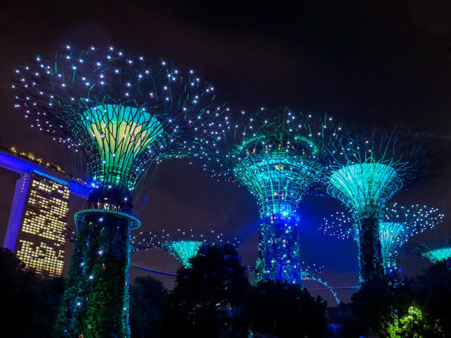 Gardens by the Bay 🌿✨🇸🇬