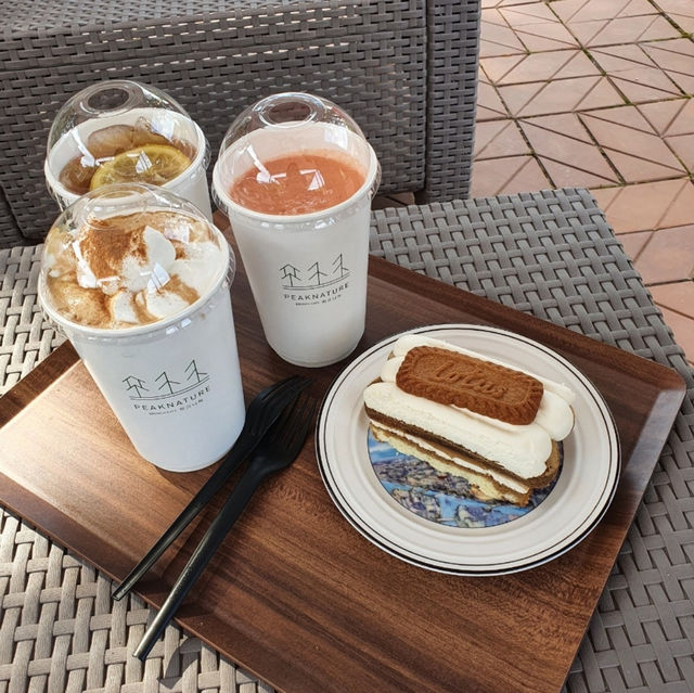 영암 피크니처