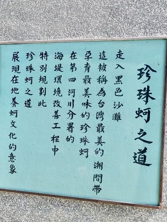踩著浪花看蚵田的王功