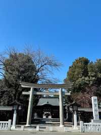東京兩毛線小山站與足利花卉公園之旅 🌸