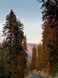 Among Giants – My Outdoor Adventure in Sequoia National Park