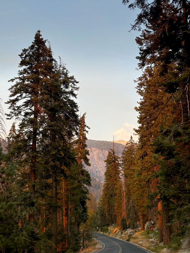 Among Giants – My Outdoor Adventure in Sequoia National Park