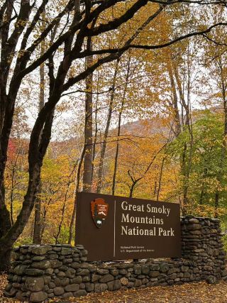 Autumn’s Golden Embrace – My Outdoor Adventure in Great Smoky Mountains National Park
