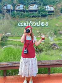 T Story Mae Kampong แม่กำปอง