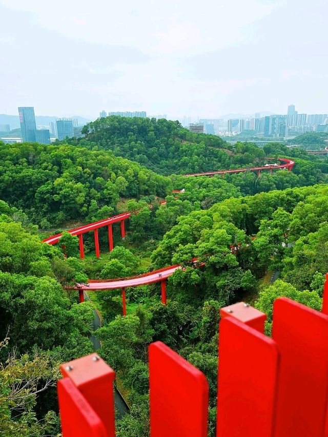 深圳光明區的自然休閒天堂