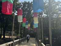 【韓国/京畿道】史劇で見た景色の中に【韓国民俗村】