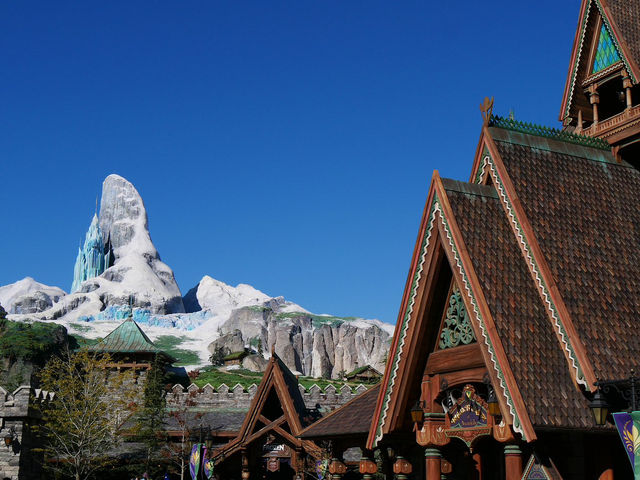 Tokyo DisneySea experienced !!