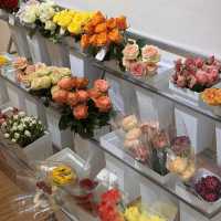มีสุข - meesook ร้านดอกไม้ DIY ด้วยตัวเอง 💐✨ 