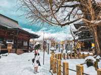 【岐阜】子宝安産祈願のパワースポット⛩️