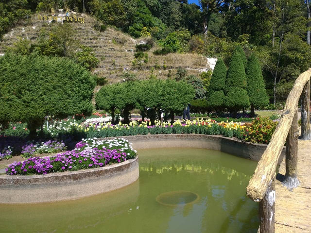 Discover the Serenity of Doi Inthanon