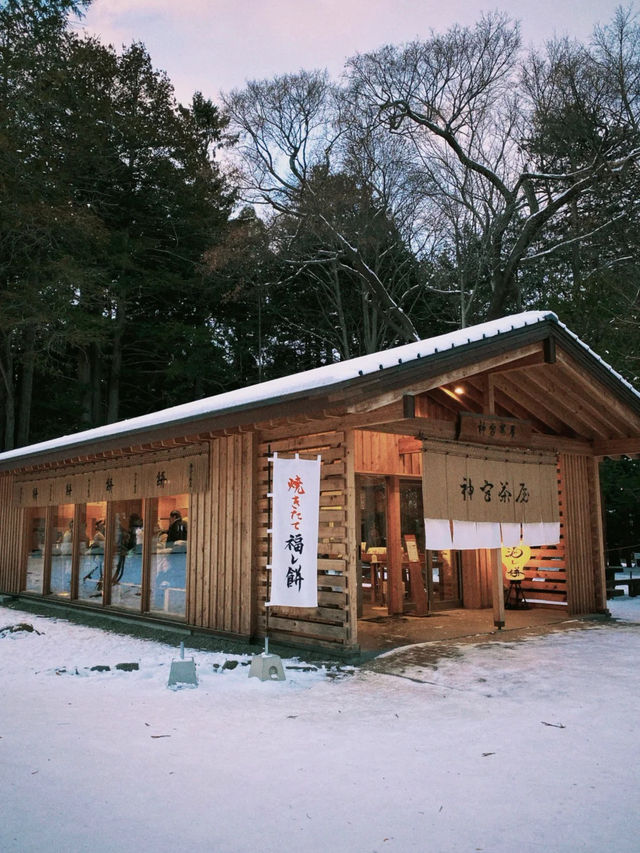 北海道札幌的冬日神社｜北海道神宮 ❄️⛩️