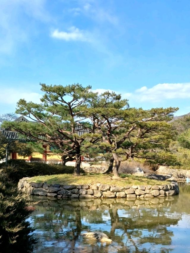 아름다운 연못이 있는 왕릉, 수로왕릉 🏯🌿