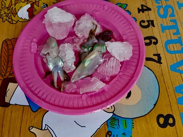 龜吼漁港螃蟹主題公園打卡及海鮮美食輕鬆ㄧ日遊