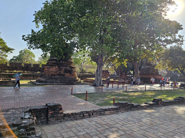 วัดหลวงแห่งอยุธยา ศูนย์กลางพุทธศาสนา