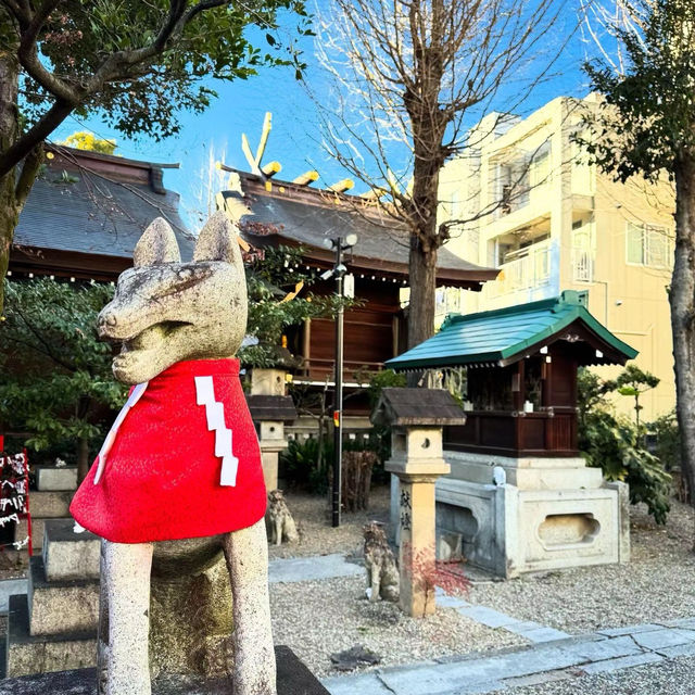 新田神社 🌿城市中的一片寧靜