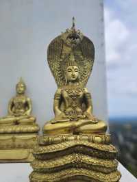 อุทยานธรรมเขานาในหลวง