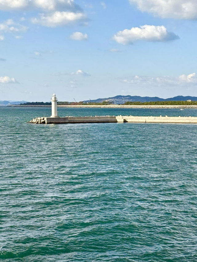 【和歌山県↔︎徳島県】グリーン席で快適な船旅