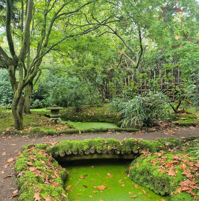 Park Clingendael (The Hague)