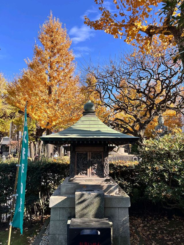 Beautiful view at Sensoji