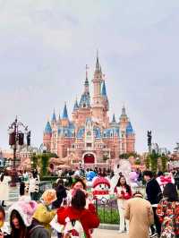 6th Disney theme park in the world and second largest after florida