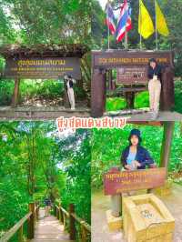 มัดรวม 4 พิกัด ดอยอินทนนท์ 🍃