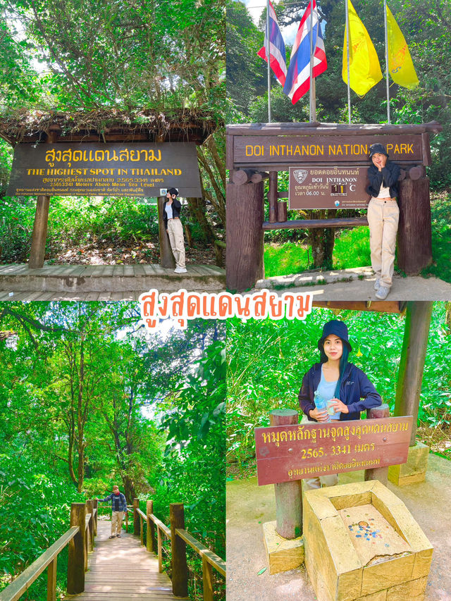 มัดรวม 4 พิกัด ดอยอินทนนท์ 🍃