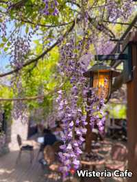 Best Spring Cafés Outside of Seoul in Korea 🌸