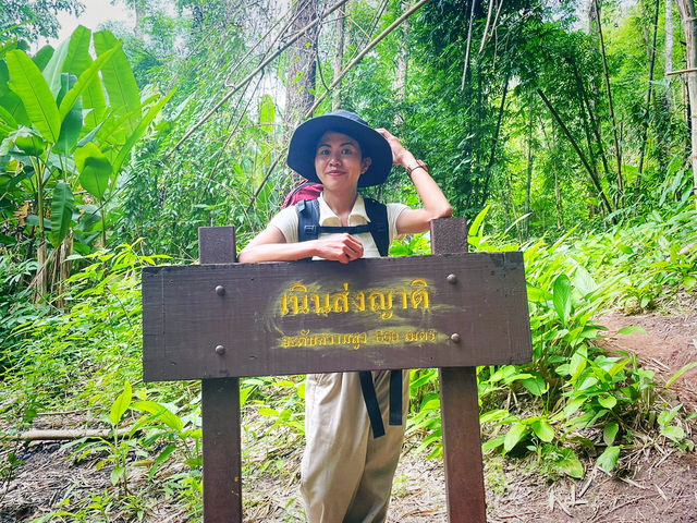 เนินส่งญาติ | ภูสอยดาว ✨
