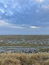 Gaomei Wetlands on a Grey Day: A Different Kind of Beauty 🌫️🌊 