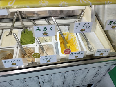 新鮮なジェラート🤍【みるく工房タンポポ 長坂牧場内工場・直売店