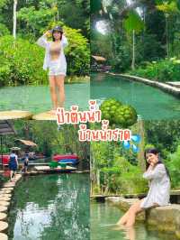 ป่าต้นน้ำบ้านน้ำราด สระน้ำมรกตสุราษฎร์ธานี 🌳💦
