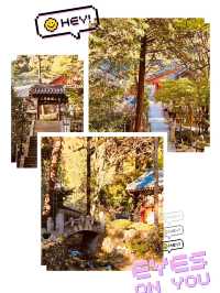 Spiritual Spring Rejuvenation in Jirisan 🧘‍♂️🌸 