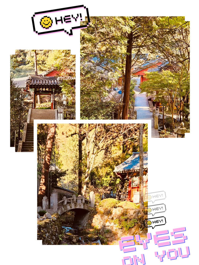 Spiritual Spring Rejuvenation in Jirisan 🧘‍♂️🌸 