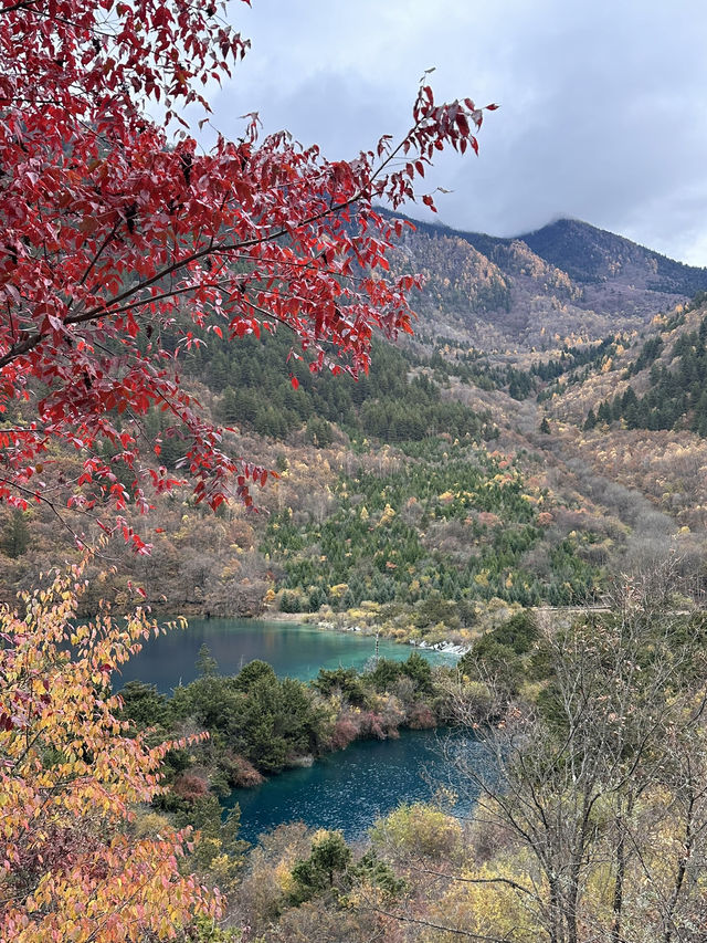 Enchanting Beauty of Jiuzhai Valley:where nature meets tranquility 