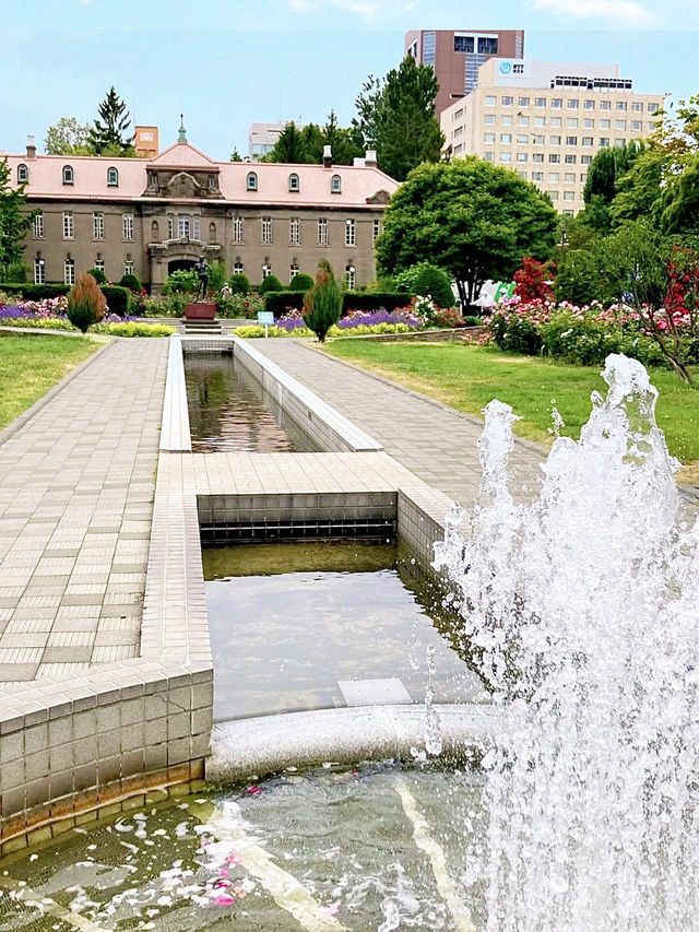 Spring in Sapporo: A Stroll Through Odori Park🌷