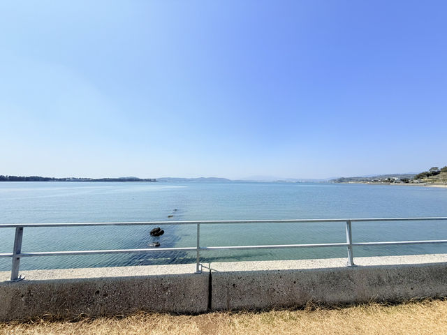 旬の牡蠣！海の見えるテラス