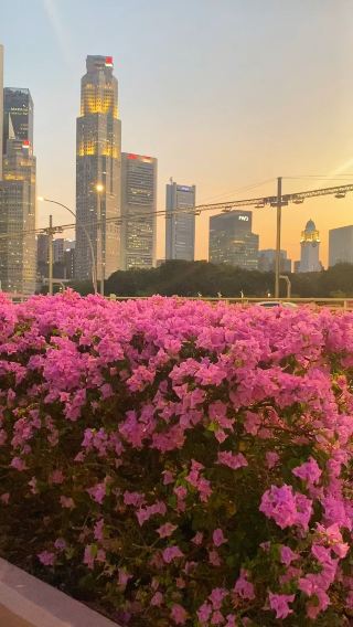 Blending the beauty of nature and man-ma
