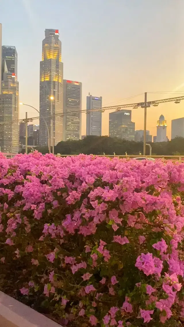 Blending the beauty of nature and man-ma