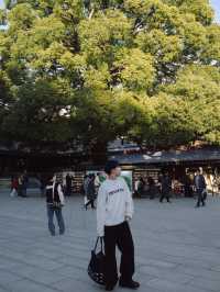 Meiji Shrine ศาลเจ้าแห่งความสงบใจกลางโตเกียว