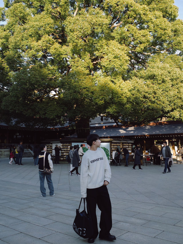 Meiji Shrine ศาลเจ้าแห่งความสงบใจกลางโตเกียว