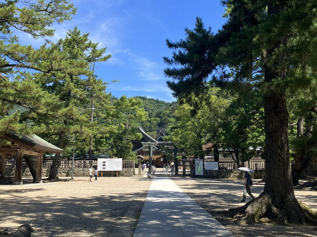 【神々のふるさと】出雲大社 ⛩🌿✨