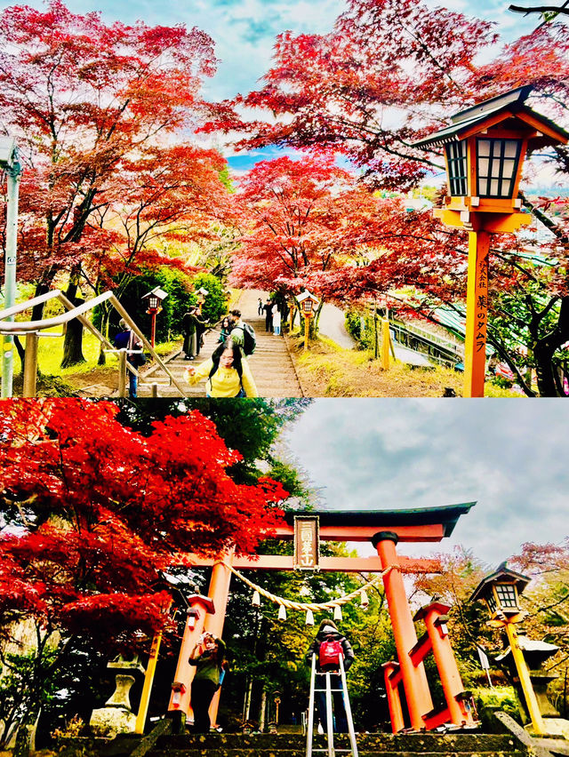 【日本山梨】新倉山淺間公園：步入秋天的畫卷
